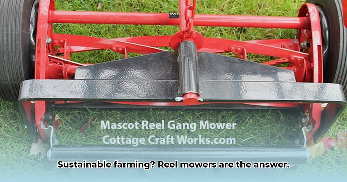 reel-mower-tractor-supply